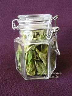 a glass jar filled with green leaves on top of a purple carpet