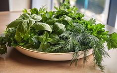 fresh herbs are in a bowl on the table