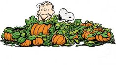 charlie brown and snoop the dog are surrounded by pumpkins