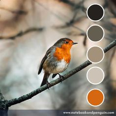 a bird sitting on top of a tree branch with color swatches in front of it