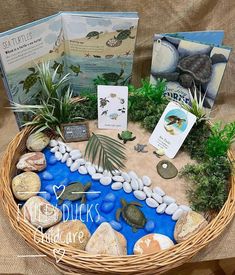 a basket filled with rocks and plants on top of a table next to two books