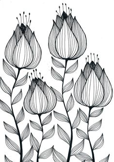 black and white drawing of flowers on a white background