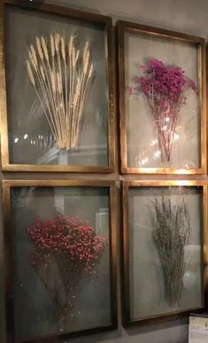 a bunch of flowers are on display in front of some framed pictures with lights hanging from them