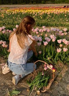 a woman kneeling down to pick flowers in a field