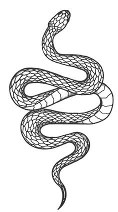 a black and white drawing of a snake