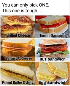 there are many different sandwiches on this page