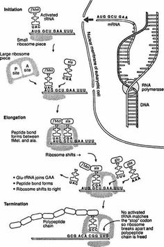 a diagram showing the steps leading to different locations