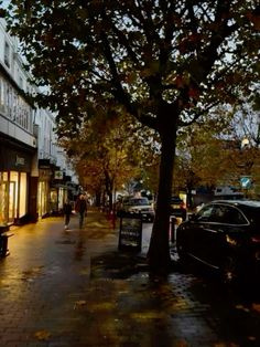 people are walking down the sidewalk in front of shops on a rainy day at dusk