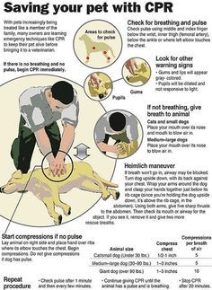 a poster with instructions on how to use the pet