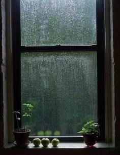 a window with rain falling down on it and some plants in the window sill