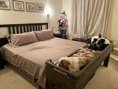 two dogs are sleeping in a bed with their owners on the other side and one dog is laying down