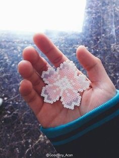 a hand holding a small snowflake in it's palm