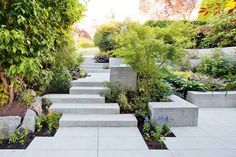 there are many steps in the garden that lead up to the trees and bushes on the other side