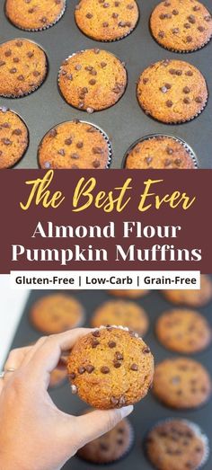 the best ever almond flour pumpkin muffins