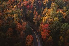 an aerial view of a road surrounded by trees in the fall with red, yellow and green leaves