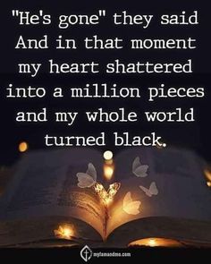 an open book with butterflies on it and the words, life's gone they said and in that moment my heart shattered into a million pieces and my whole world turned black