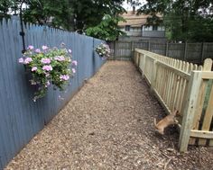 a small dog standing next to a wooden fence with flowers hanging from it's side