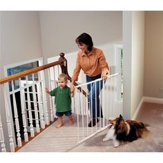 a woman and her child are walking up the stairs with their dog in front of them