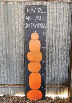 a wooden sign that says how tall are you in pumpkins