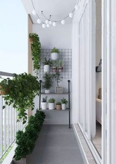 a balcony with potted plants and lights