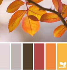 an orange and brown color scheme with leaves