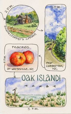 a drawing of different types of food and places to eat in the country, including peaches, pineapples, whiteville, new jersey, oak island