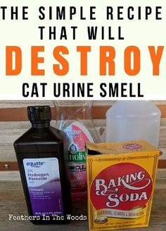 the simple recipe that will destroy cat urine smell is easy to make and uses only one ingredient