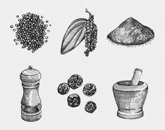 an ink drawing of spices and herbs