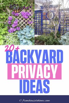 the back yard privacy ideas with purple flowers