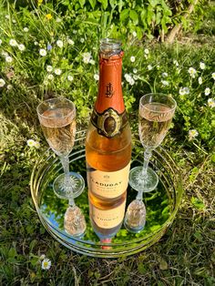 a bottle of champagne sitting on top of a glass plate with wine glasses next to it