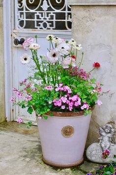 a potted plant with pink and white flowers in front of a gated door