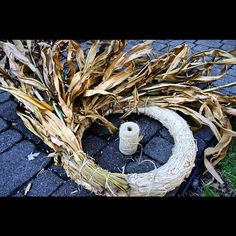 a spool of twine sits on the ground next to some dead corn stalks