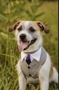 a small dog wearing a suit and tie sitting in the grass with his tongue out