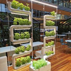 an indoor garden with many plants growing in the planters and hanging from metal pipes