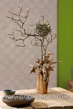 a bird's nest sits on top of a tree stump in front of a green wall