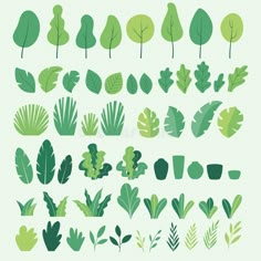 various types of trees and plants on a white background, with green leaves in the foreground