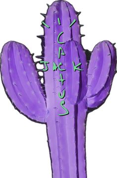 a purple cactus with green writing on it