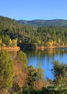 a lake surrounded by trees with mountains in the background