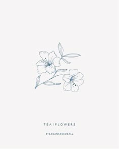 two flowers on a white background with the words tea flowers