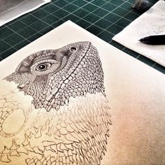 a drawing of an owl's head is shown on the paper next to scissors