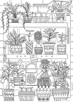 a black and white drawing of potted plants on a shelf in front of a window