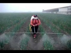 a woman walking across a field with a hose attached to her head and wearing a red jacket