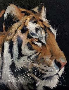 an oil painting of a tiger on a black background