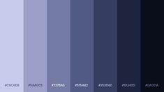 an image of the color purple in different shades from blue to dark violet and black