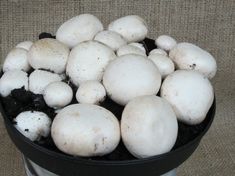 a bunch of white mushrooms in a black pot