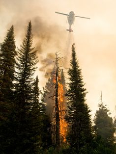 a plane is flying low over the trees and flames in the air as it goes up into the sky