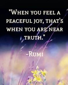 a quote from rumi that says when you feel a peaceful joy, that's when you are near truth