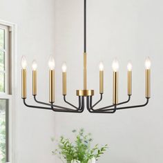 a chandelier with six candles hanging from it's centerpiece in a dining room