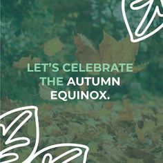 an autumn equinnox ad with leaves in the foreground and text that reads, let's celebrate the autumn equinnox