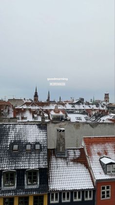 rooftops covered in snow with buildings and spires behind them on an overcast day